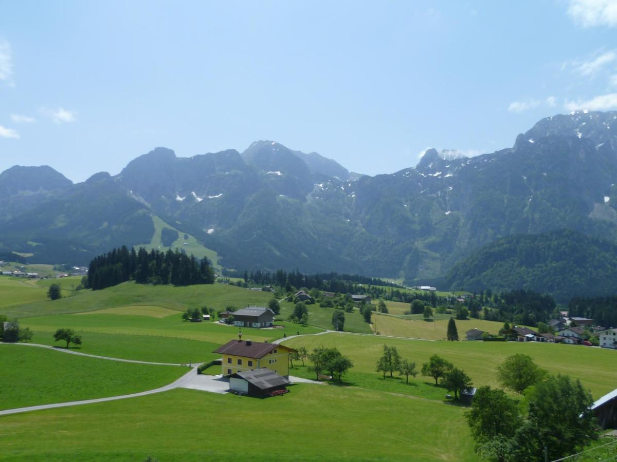 Apartement Obweghof Abtenau, Salzburger Land エクステリア 写真